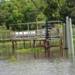 OTRA2014_1542 (September 03, 2014)